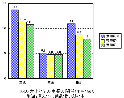 ���̑召�ƕc�̐����̊֌W