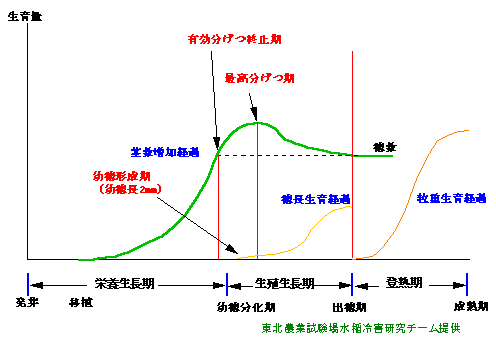 ����̐���