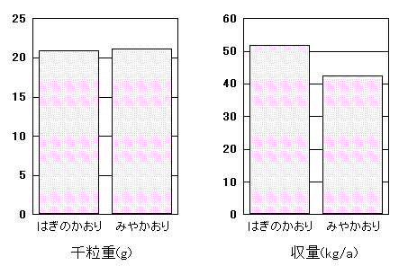 �u�͂��̂�����v�̓���