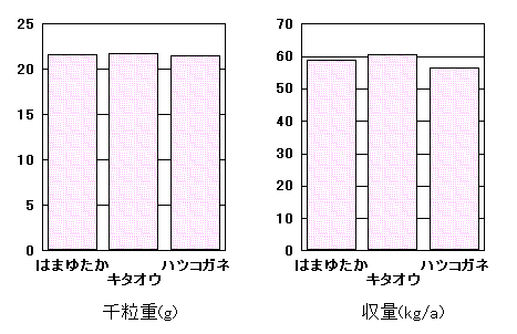 �u�͂܂䂽���v�̓���