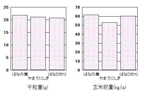 �u�͂Ȃ̕��v�̓���