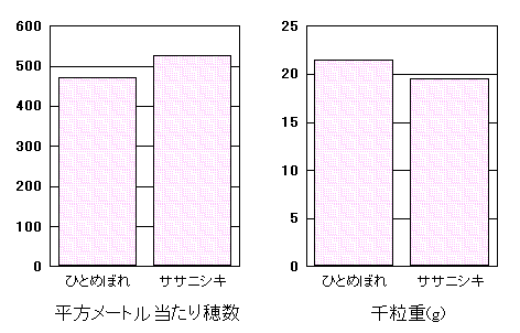 �u�ЂƂ߂ڂ�v�̓���