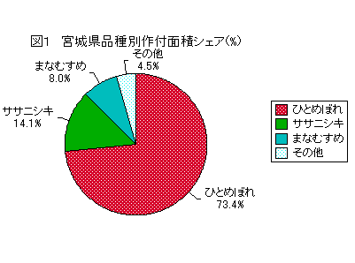 �{�錧�i��ʍ�t�ʐσV�F�A