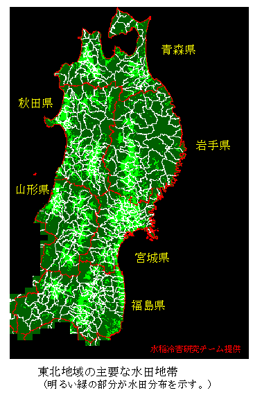 東北地域の主要な水田地帯