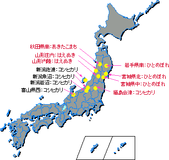 �H�������L��