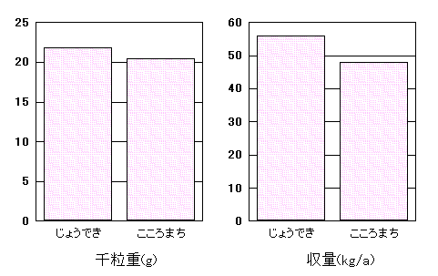 �u���傤�ł��v�̓���