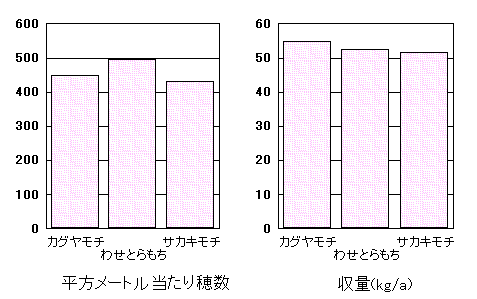 �u�J�O�����`�v�̓���