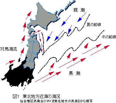 ���k�n���ߊC�̊C��