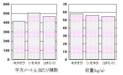 �u�L�^�I�E�v�̓���