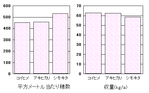 �u�R�C�q���v�̓���