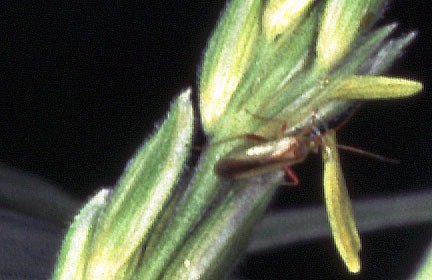 �A�J�X�W�J�X�~�J��