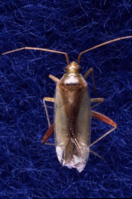 �A�J�X�W�J�X�~�J��