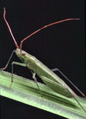 �A�J�q�Q�z�\�~�h���J�X�~�J��