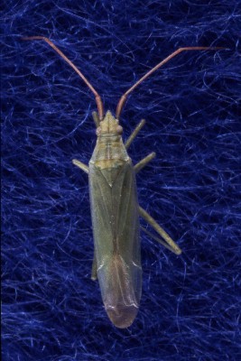 �A�J�q�Q�z�\�~�h���J�X�~�J��