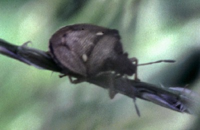 �I�I�g�Q�V���z�V�J�����V