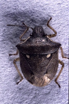 �I�I�g�Q�V���z�V�J�����V