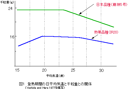 �����ϋC���Ɛ痱�d�̊֌W