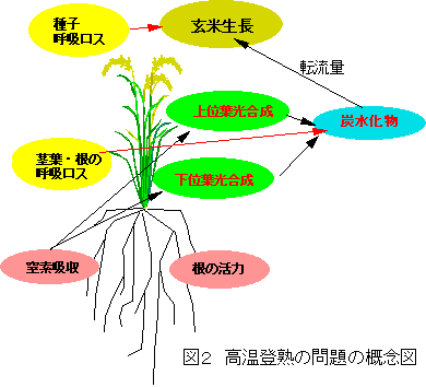 �����o�n�̖��̊T�O�}