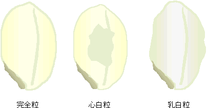 ���Ă̕i��