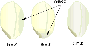 �w���āE���