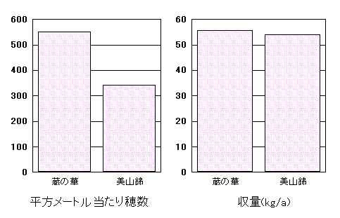 �u���̉؁v�̓���