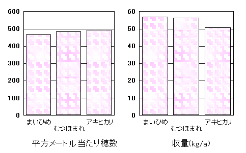 �u�܂��Ђ߁v�̓���