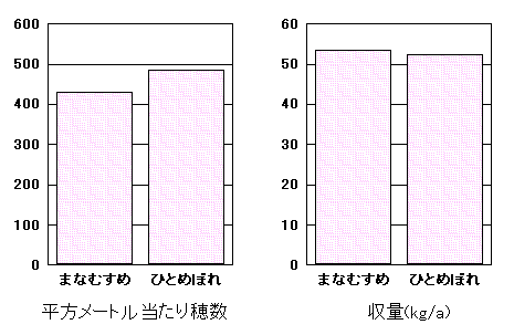 �u�܂Ȃނ��߁v�̓���