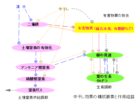 ���������ʂ̍\���v�f�ƍ�p�o�H