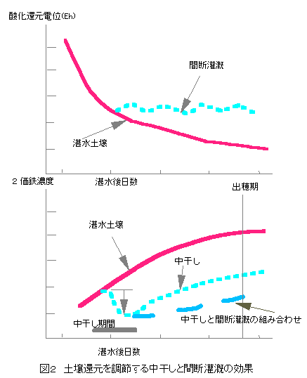 �y��Ҍ��𒲐߂��钆�����ƊԒf���̌���