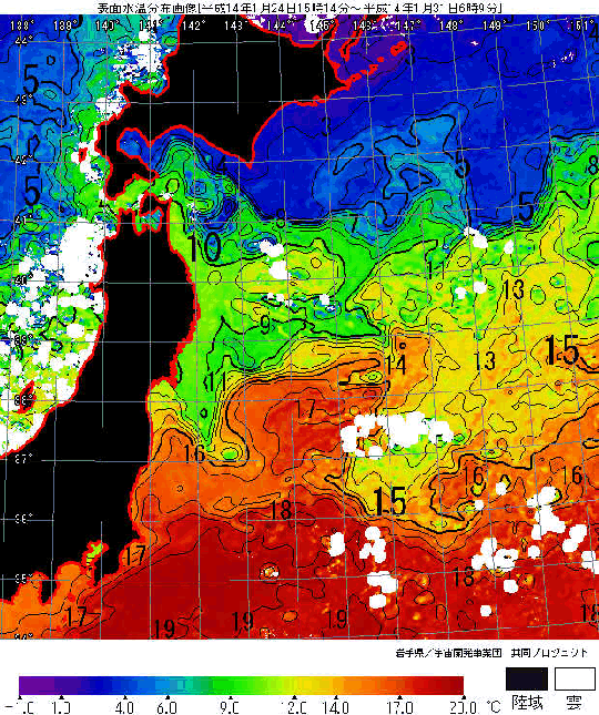 ���������������摜