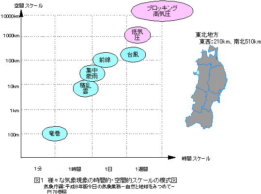 �l�X�ȋC�ی��ۂ̎��ԓI�E��ԓI�ȃX�P�[���̖͎��}