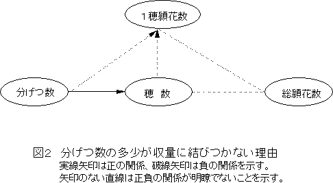 �������̑��������ʂɌ��т��Ȃ����R