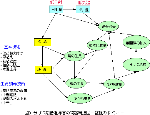 �������ቷ��Q�̖��\���|�Ď��̃|�C���g�|