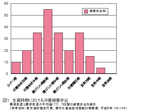 ���玞���ɂ������Q��Q����