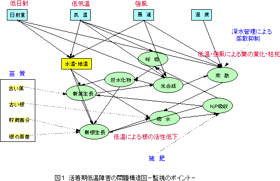 �������ቷ��Q�̖��\���|�Ď��̃|�C���g�|