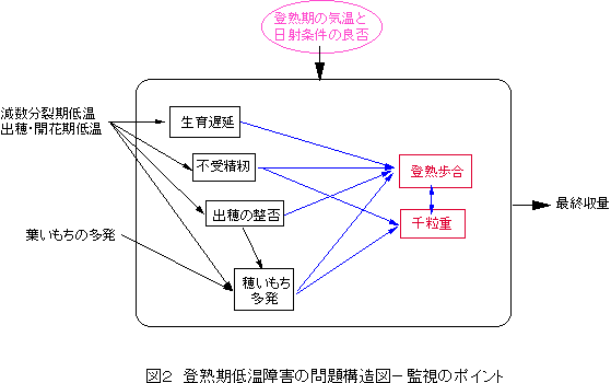 �o�n���ቷ��Q�̖��\���}