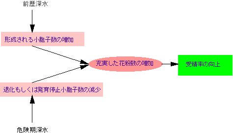 �O���E�댯���[���Ǘ��̔�Q�y�����ʂ̃��J�j�Y��