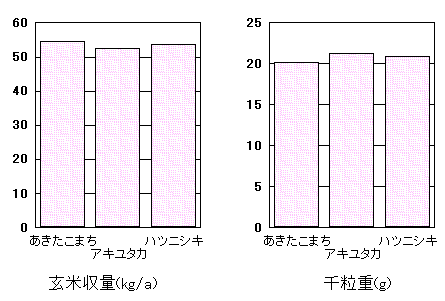 �u���������܂��v�̓���
