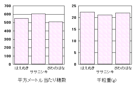 �u�͂��ʂ��v�̓���