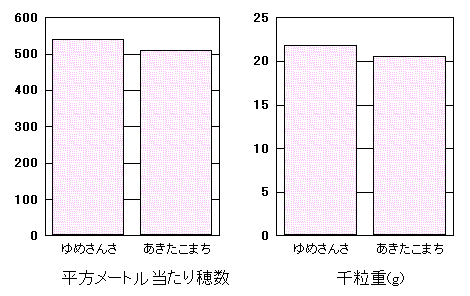 �u��߂��񂳁v�̓���