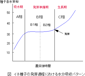 �C�l��q�̔���ߒ��ɂ����鐅���z���p�^�[��