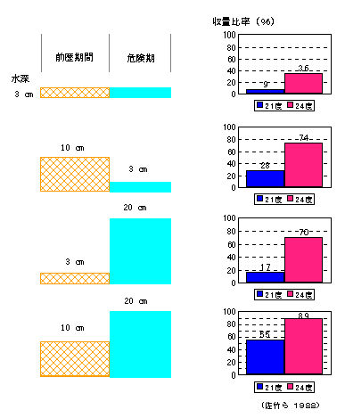 ���[�Ǝ���