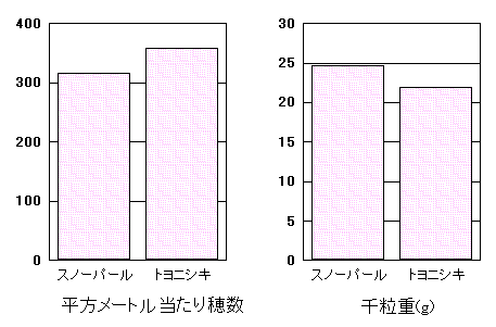 �u�X�m�[�p�[���v�̓���