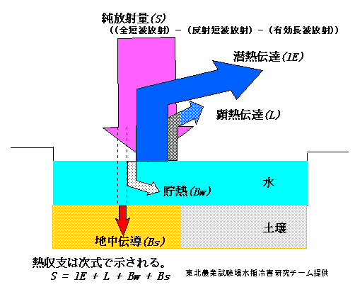 ���c�̔M���x