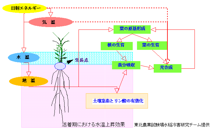 �������ɂ����鐅���㏸����