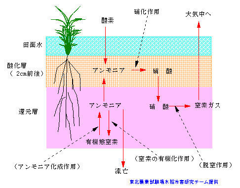 �X���y�뒆�̒��f