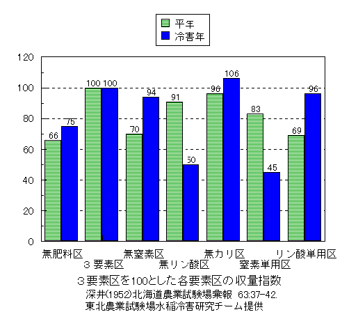 �����_�̌���