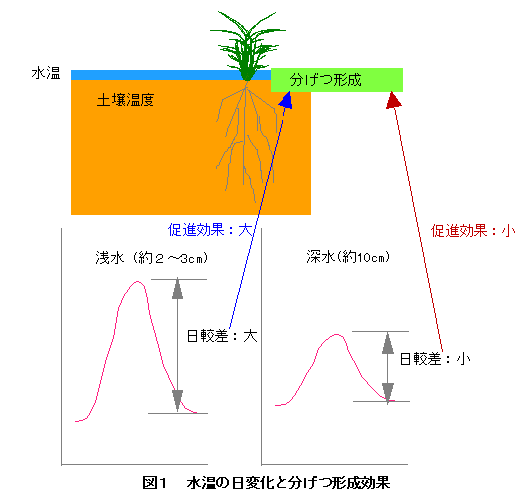 �����̓��ω��ƕ����`������