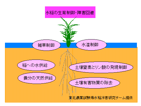 ���Ǘ��̖���