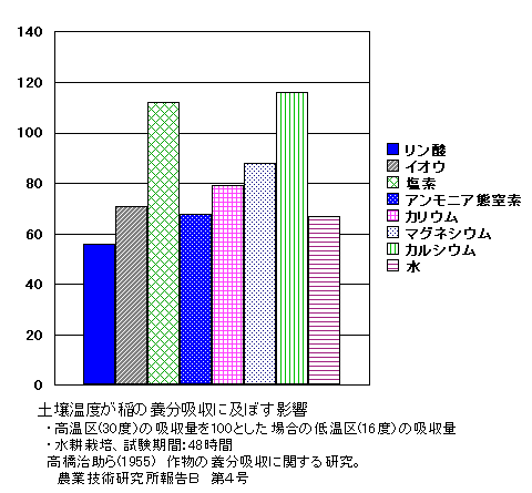 �y�뉷�x���C�l�̗{���z���ɋy�ڂ��e��